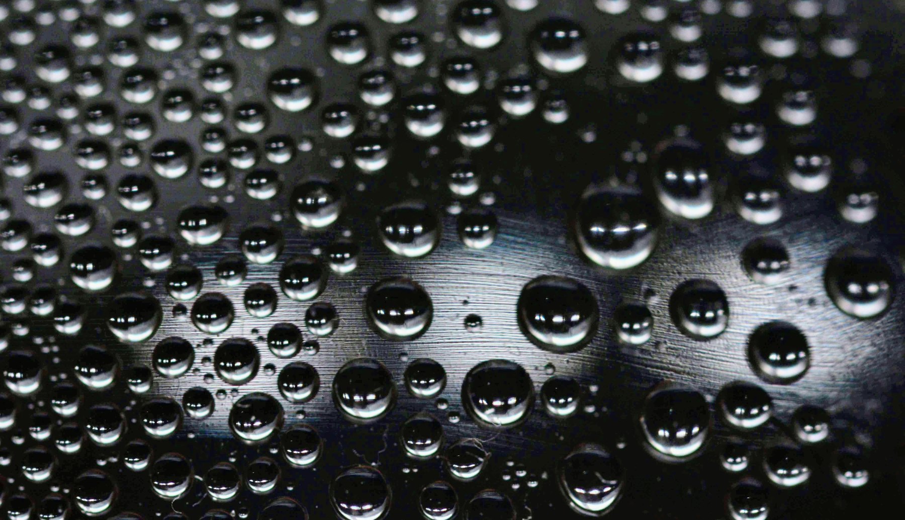 Water beading on freshly protected paint