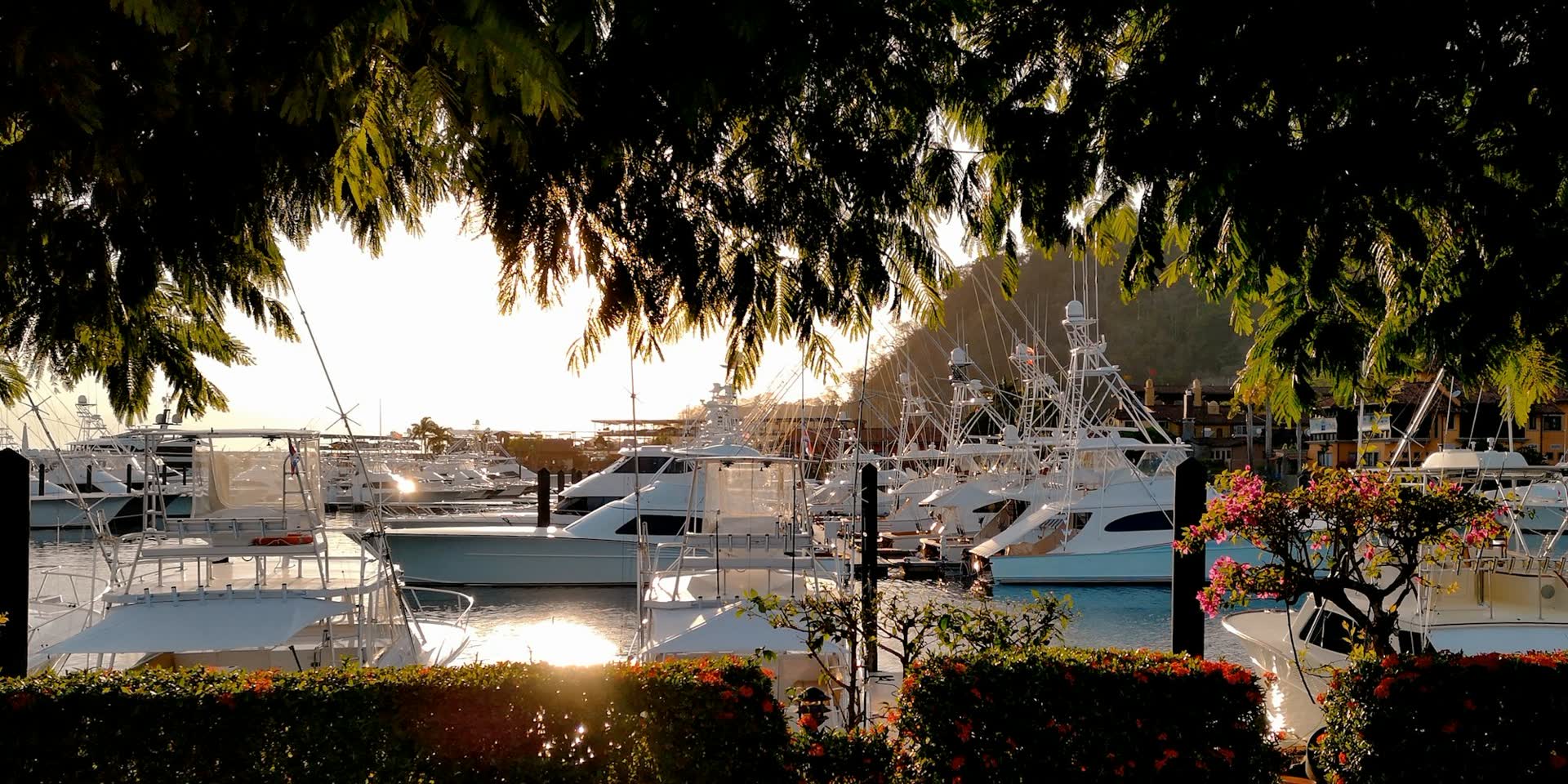 Boats moored in a marina at sunset